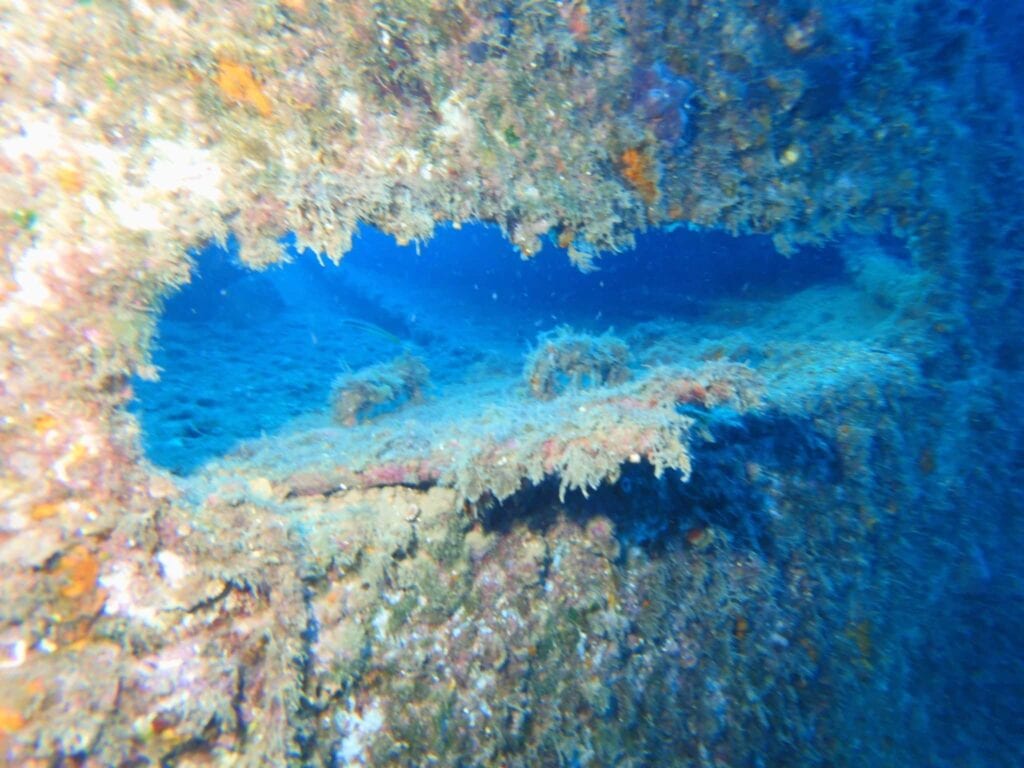 Bewachsene Struktur eines Wracks unter Wasser