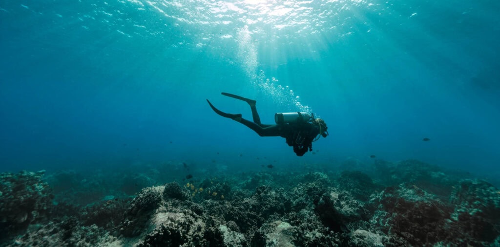 Diving in Rabac with diving RABAC in the Croatian Adriatic Sea